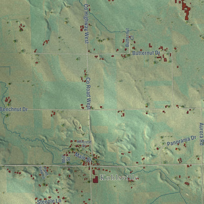 Close-up of the map of Wayne, Washington County, Wisconsin print showing street and building detail