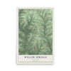 Map of Willow Springs, Wisconsin, 12 x 18 inch unframed archival matte print