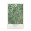 Map of Winfield, Wisconsin, 12 x 18 inch unframed archival matte print