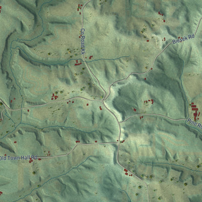 Close-up of the map of Winfield, Wisconsin print showing street and building detail