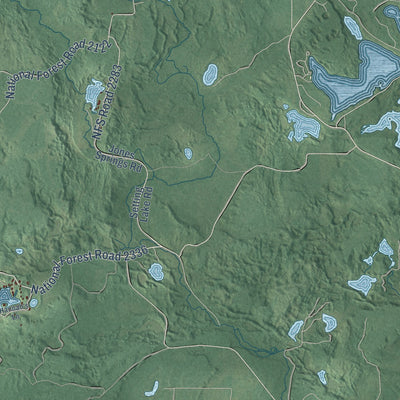 Second close-up of the map of Wolf River, Langlade County, Wisconsin print showing more streets and buildings