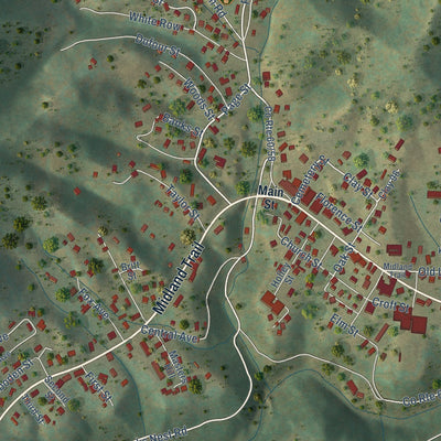 Close-up of the map of Ansted, West Virginia print showing street and building detail