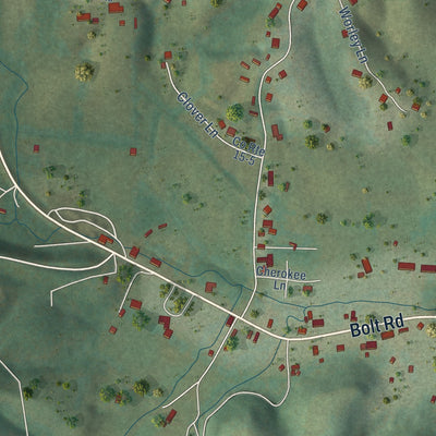 Close-up of the map of Bolt, West Virginia print showing street and building detail