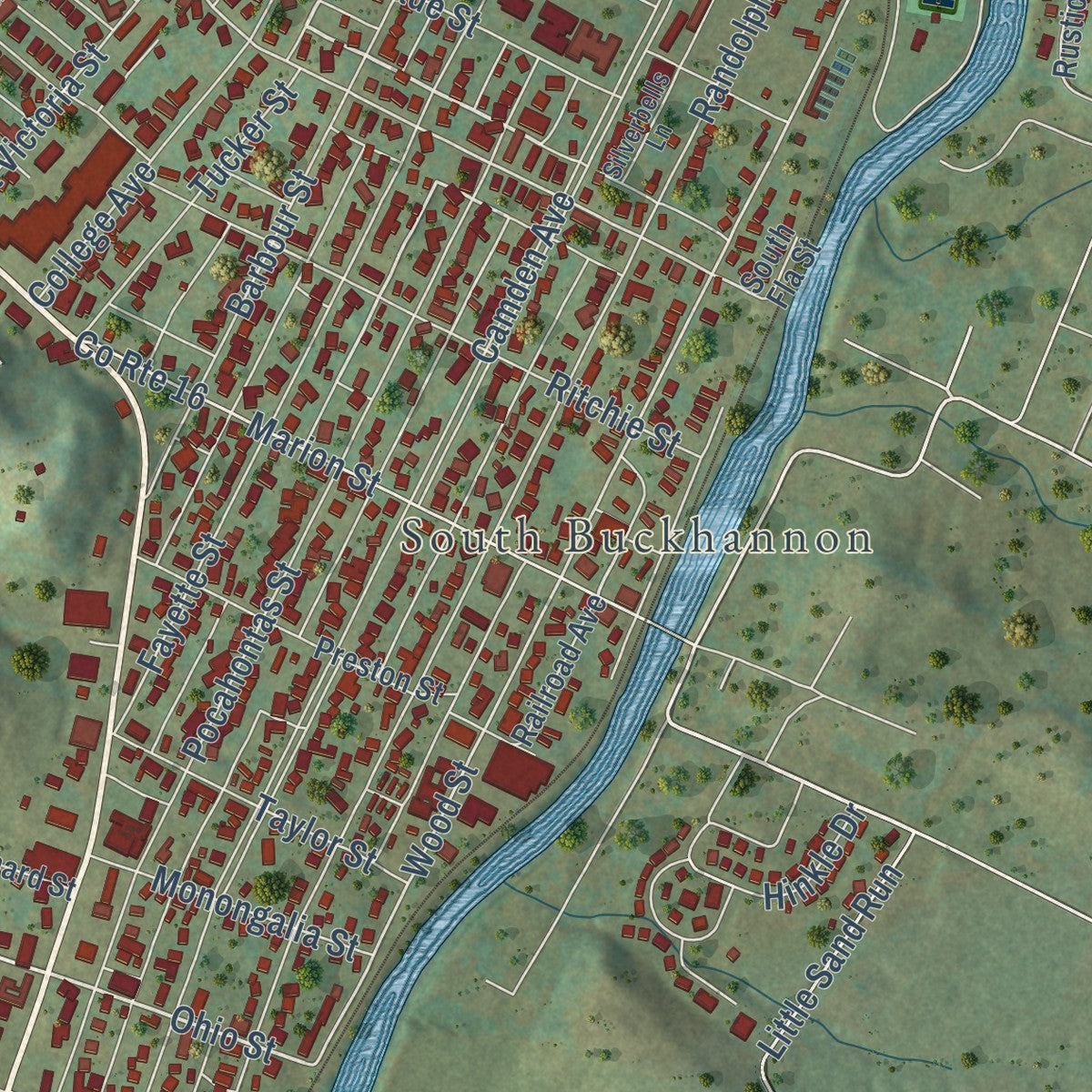 Close-up of the map of Buckhannon, West Virginia print showing street and building detail