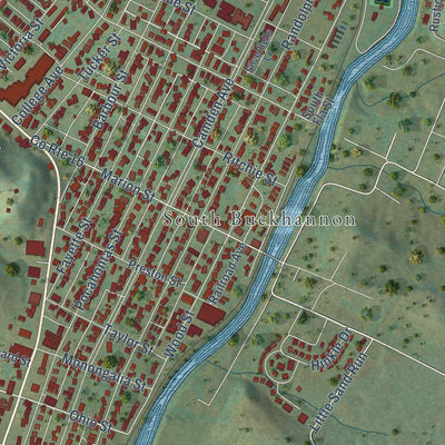 Close-up of the map of Buckhannon, West Virginia print showing street and building detail
