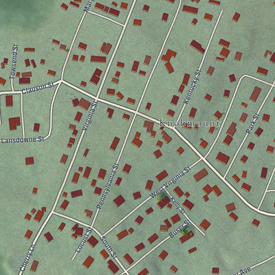 Close-up of the map of Carpendale, West Virginia print showing street and building detail