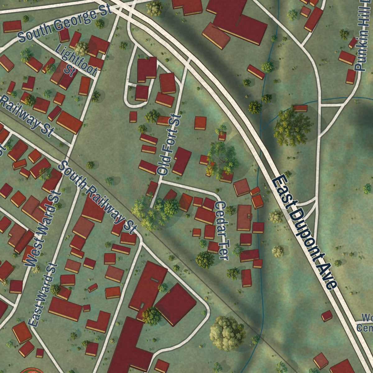 Close-up of the map of Cedar Grove, West Virginia print showing street and building detail