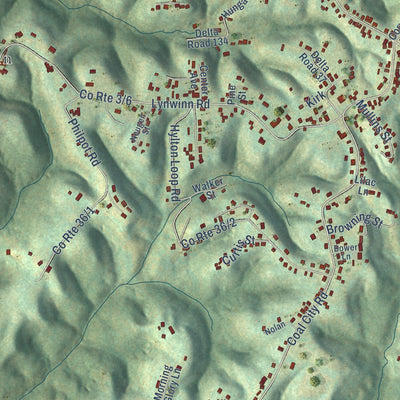 Close-up of the map of Coal City, West Virginia print showing street and building detail