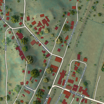 Close-up of the map of Cowen, West Virginia print showing street and building detail