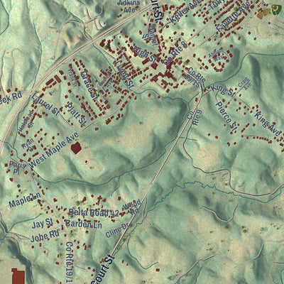 Close-up of the map of Fayetteville, West Virginia print showing street and building detail
