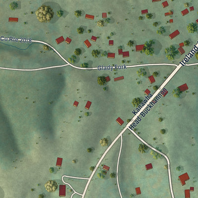 Close-up of the map of Hinkleville, West Virginia print showing street and building detail