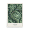 Map of Iaeger, West Virginia, 12 x 18 inch unframed archival matte print