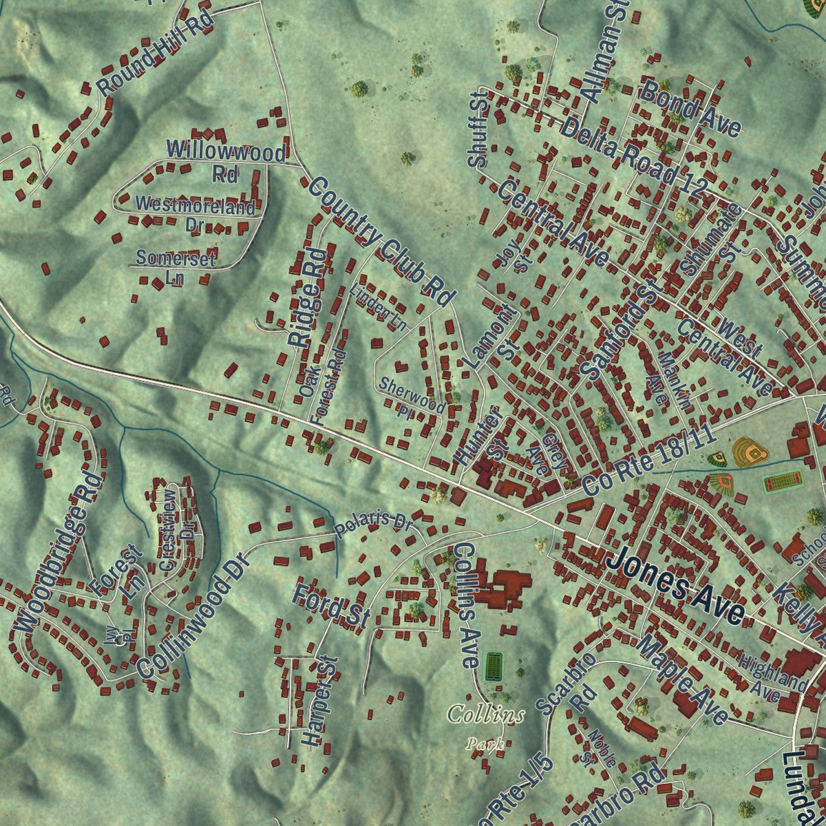 Close-up of the map of Oak Hill, West Virginia print showing street and building detail