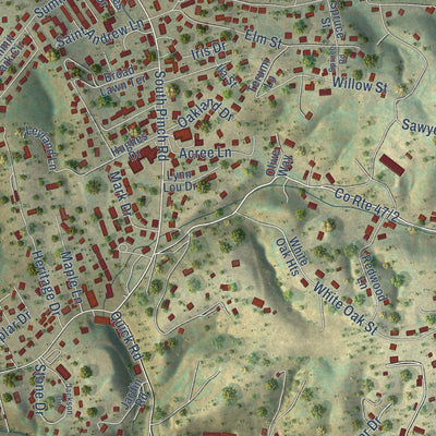 Close-up of the map of Pinch, West Virginia print showing street and building detail