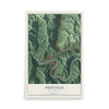 Map of Pineville, West Virginia, 12 x 18 inch unframed archival matte print