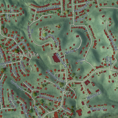 Second close-up of the map of Pea Ridge, West Virginia print showing more streets and buildings