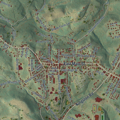 Close-up of the map of Preston, West Virginia print showing street and building detail