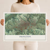 Map of Princeton, West Virginia, 12 x 18 inch unframed archival matte print