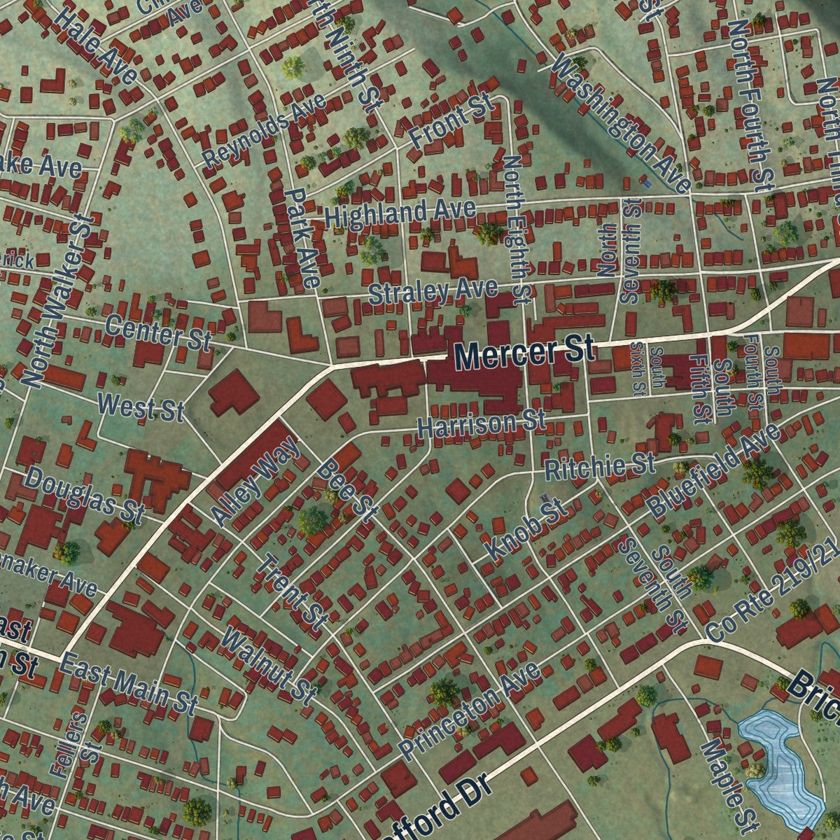 Close-up of the map of Princeton, West Virginia print showing street and building detail