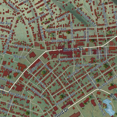Close-up of the map of Princeton, West Virginia print showing street and building detail