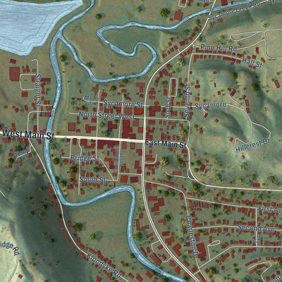 Close-up of the map of Ripley, West Virginia print showing street and building detail