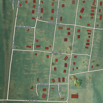 Close-up of the map of Shenandoah Junction, West Virginia print showing street and building detail