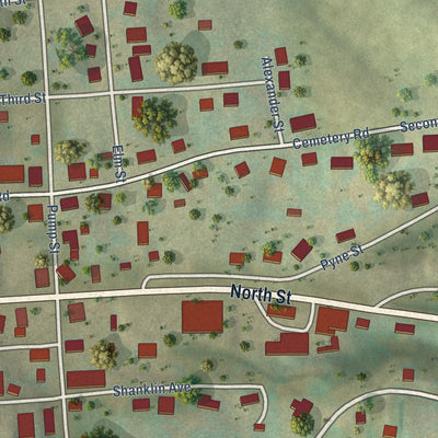 Close-up of the map of Union, West Virginia print showing street and building detail