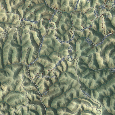 Close-up of the map of Walton, West Virginia print showing street and building detail