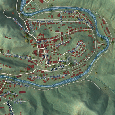Close-up of the map of Wayne, West Virginia print showing street and building detail
