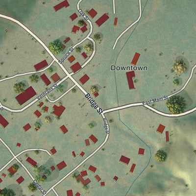 Close-up of the map of Elk Mountain, Wyoming print showing street and building detail