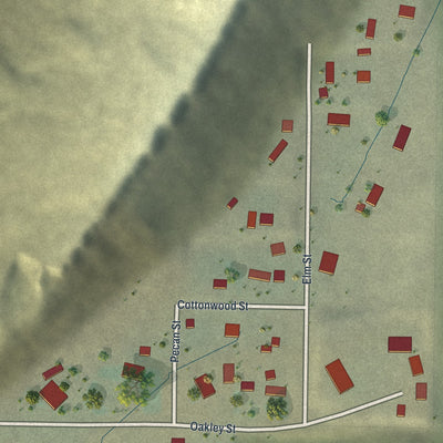 Close-up of the map of Oakley, Wyoming print showing street and building detail