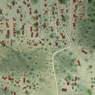 Close-up of the map of Pine Haven, Wyoming print showing street and building detail