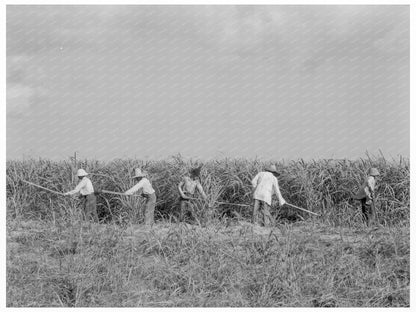 Labor on Louisiana Sugarcane Plantation July 1937 - Available at KNOWOL