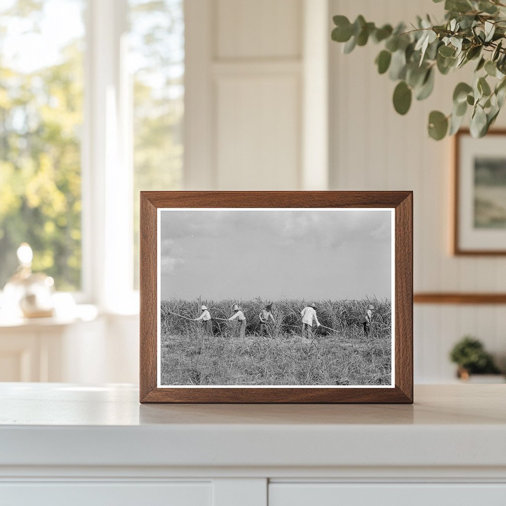 Labor on Louisiana Sugarcane Plantation July 1937 - Available at KNOWOL