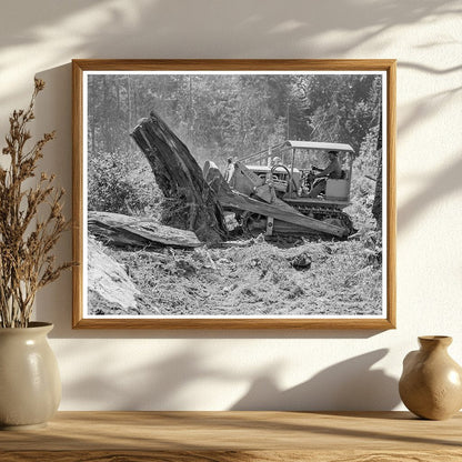 Laborers Clearing Stump in Lewis County 1939 - Available at KNOWOL