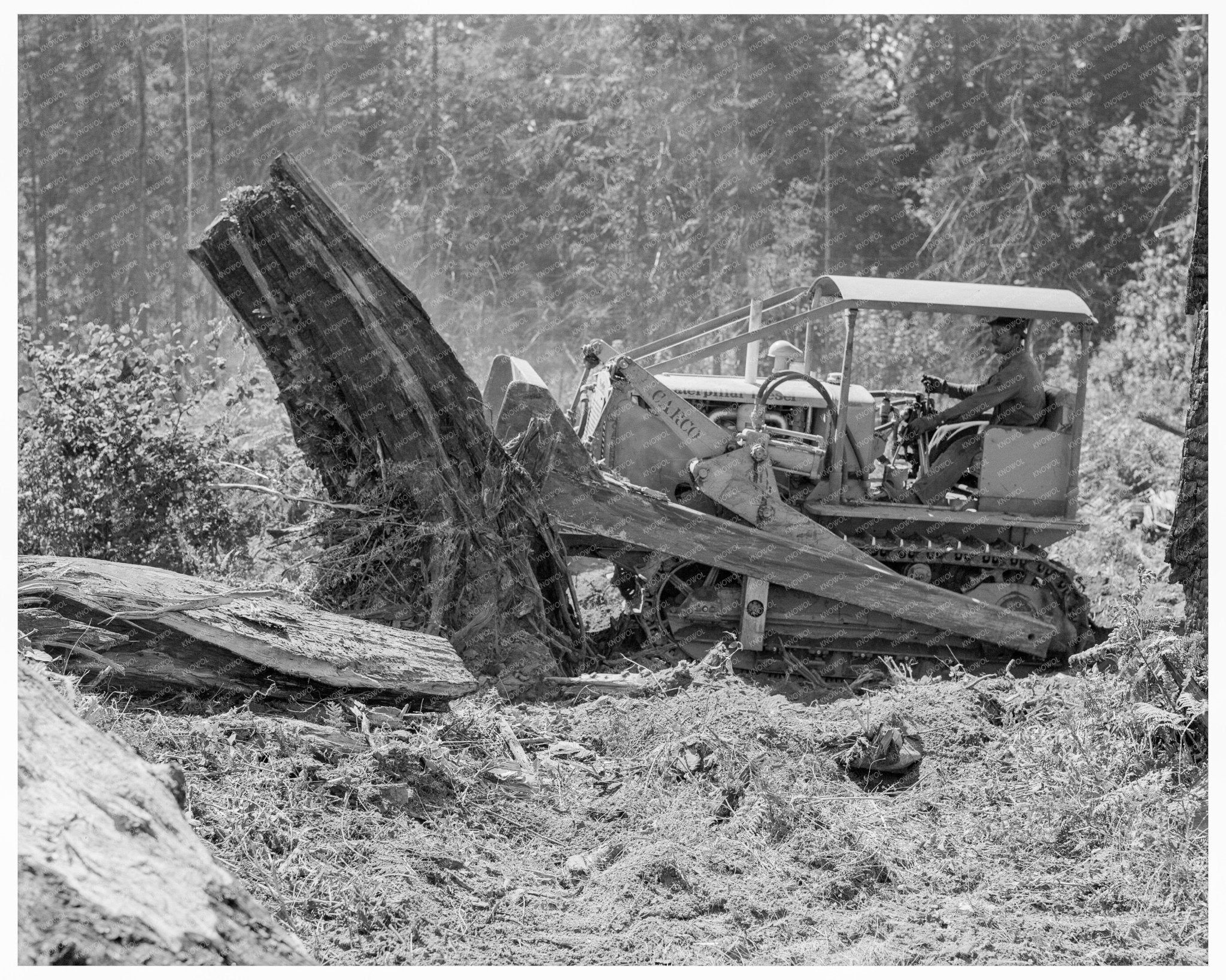 Laborers Clearing Stump in Lewis County 1939 - Available at KNOWOL