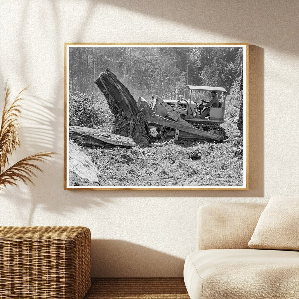 Laborers Clearing Stump in Lewis County 1939 - Available at KNOWOL