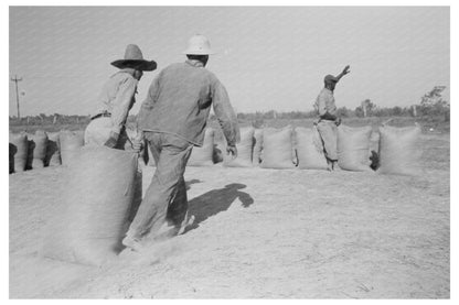 Laborers Moving Rice Sacks in Crowley Louisiana 1938 - Available at KNOWOL