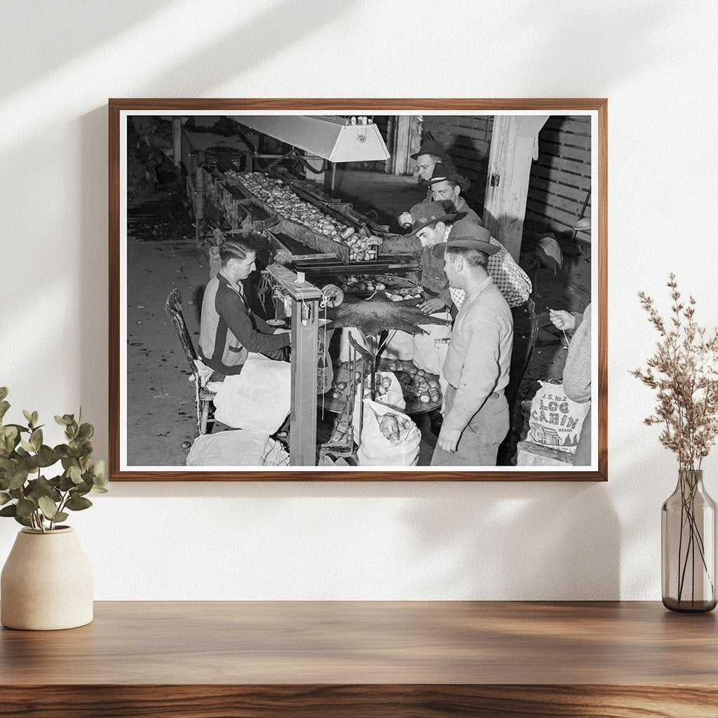 Laborers Packing Potatoes in Tulelake California 1939 - Available at KNOWOL