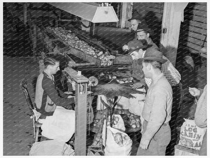 Laborers Packing Potatoes in Tulelake California 1939 - Available at KNOWOL