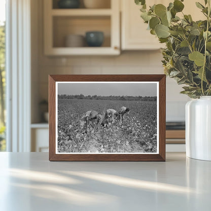 Laborers Picking Cotton Lake Dick Project Arkansas 1938 - Available at KNOWOL