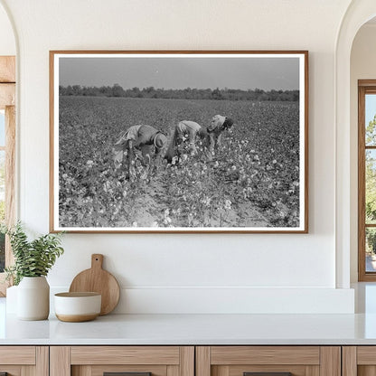 Laborers Picking Cotton Lake Dick Project Arkansas 1938 - Available at KNOWOL