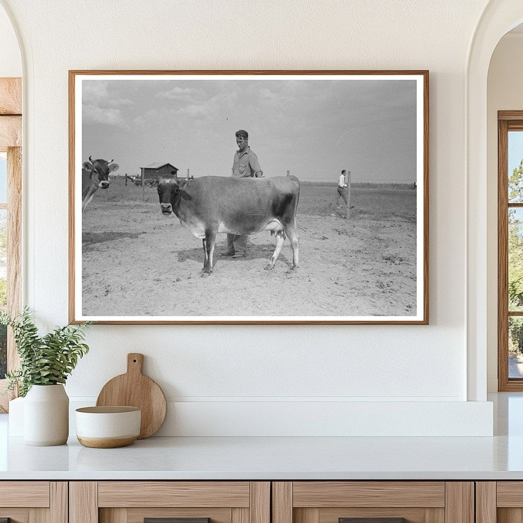 Lake Dick Arkansas Cow Farmer Vintage Photo 1938 - Available at KNOWOL