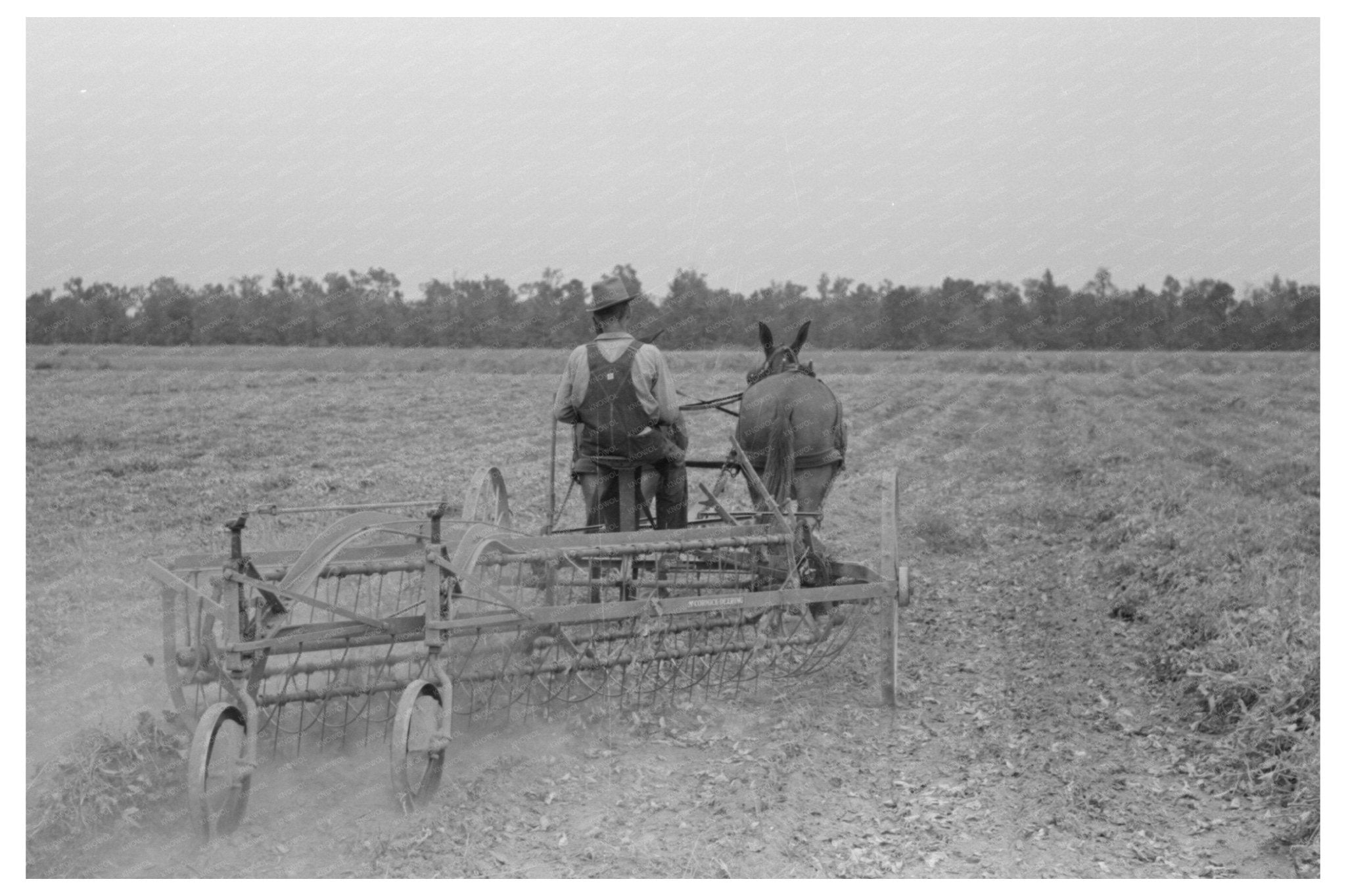 Lake Dick Arkansas Rural Community Photo September 1938 - Available at KNOWOL