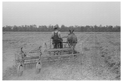 Lake Dick Arkansas Rural Community Photo September 1938 - Available at KNOWOL