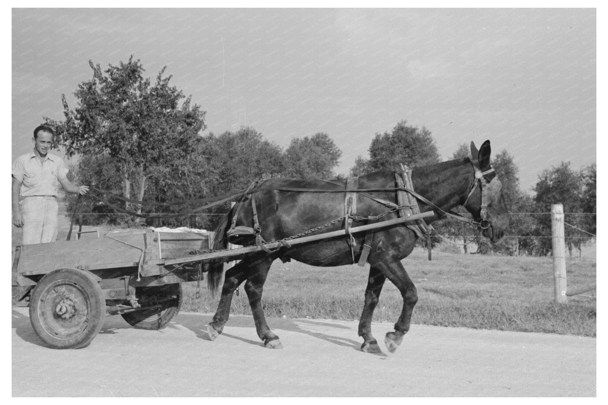 Lake Dick Cooperative Association Arkansas 1938 - Available at KNOWOL