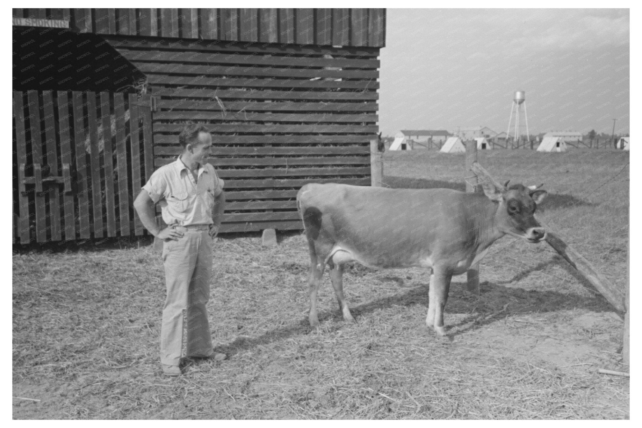 Lake Dick Cooperative Farmer with Cow Arkansas 1938 - Available at KNOWOL