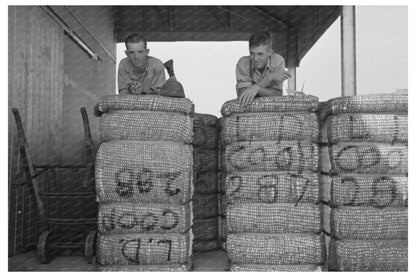 Lake Dick Cooperative Members on Cotton Bales 1938 - Available at KNOWOL