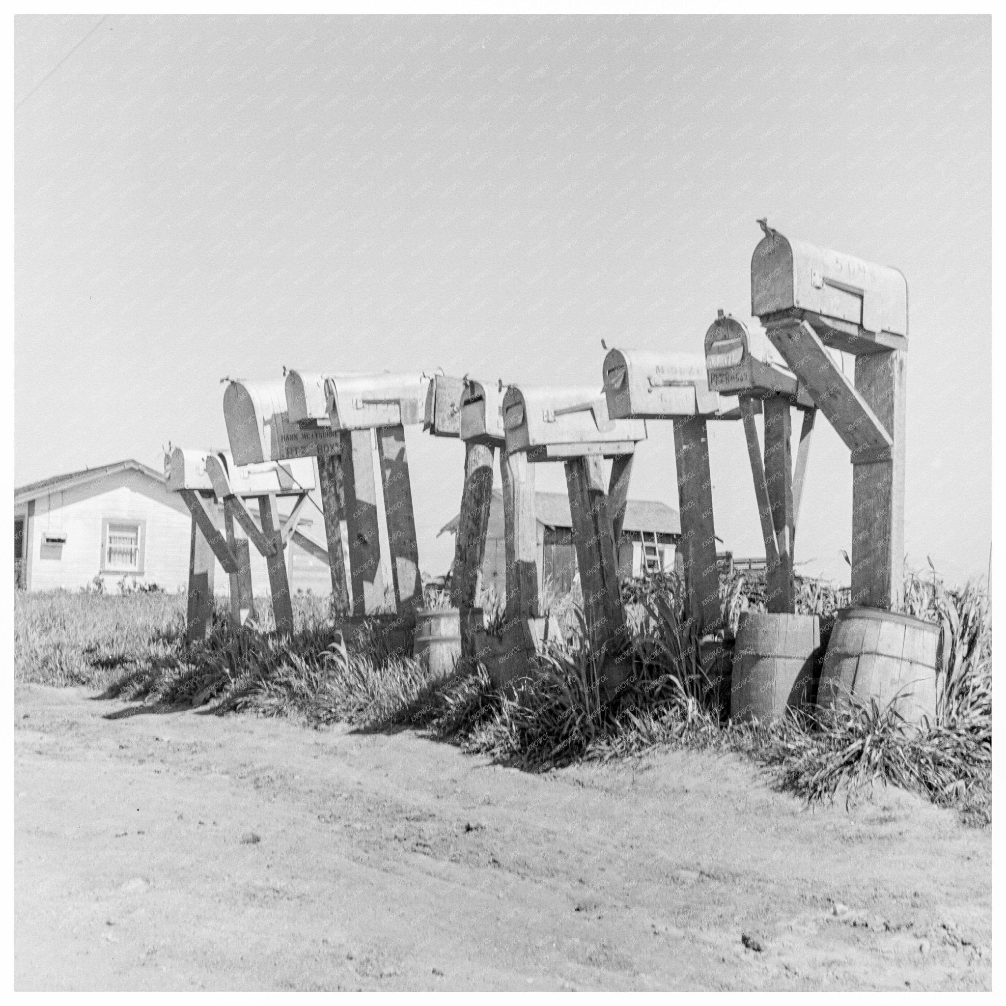 Lettuce Workers Mailboxes Salinas California 1939 - Available at KNOWOL