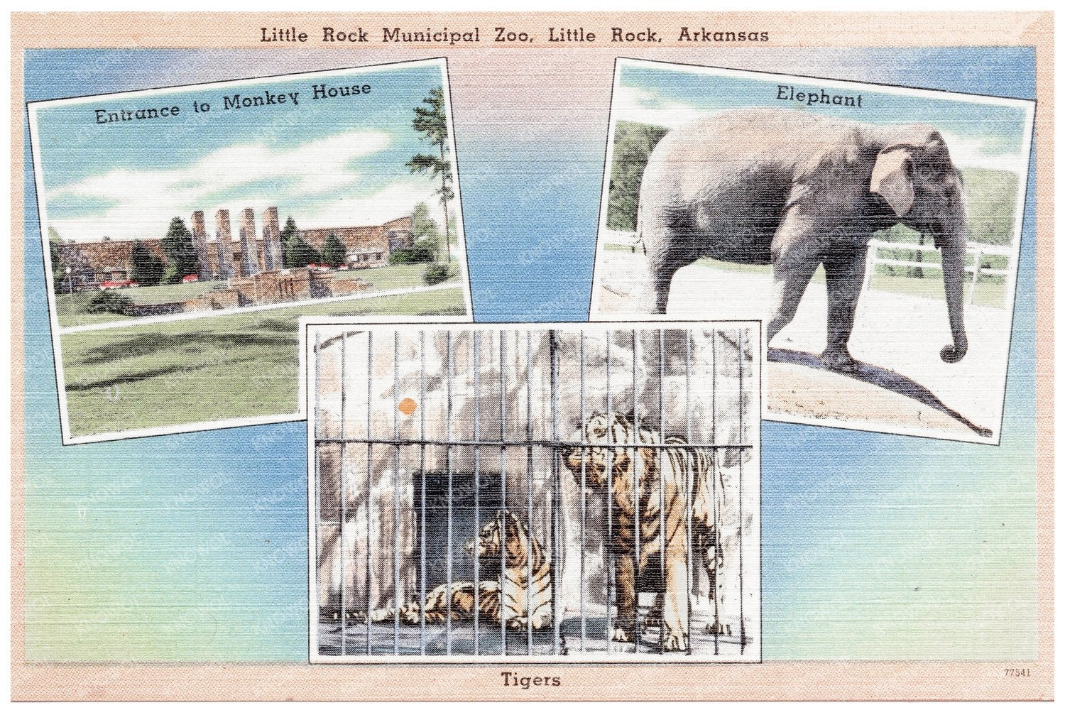 Little Rock Municipal Zoo Vintage Postcard 1930 - 1945 - Available at KNOWOL